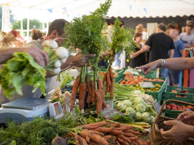 Amiens_L'Ile aux fruits © CRTC Hauts-de-France - Benjamin Teissedre