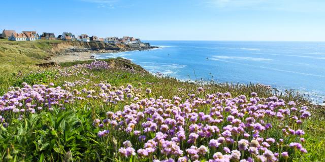 Audresselles, tapis de fleur sur les falaise avec vue sur le village © CRTC Hauts-de-France - Anne-Sophie Flament