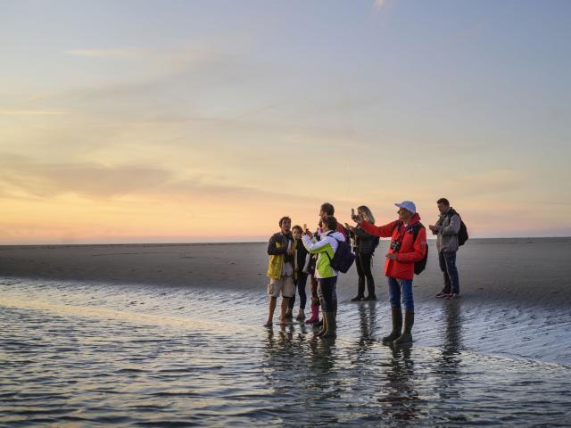 Bay of Somme_ walk in the nature with a guide ©CRTC Hauts-de-France - Nicolas Bryant