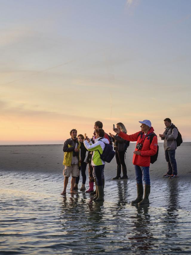 Bay of Somme_ walk in the nature with a guide ©CRTC Hauts-de-France - Nicolas Bryant