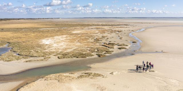 Baie de Somme - Sortie nature 