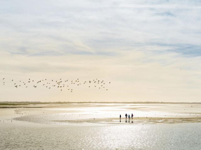 Baie de Somme_traversée de la baie à pied © Benoit Bremer