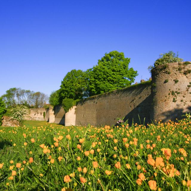 Bergues - Les remparts en été ©CRTC Hauts-de-France-Frédérik Astier