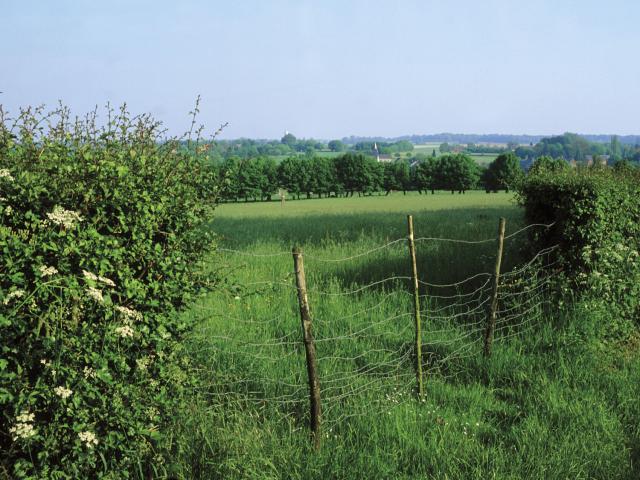 Avesnois, Paysage de bocage ©CRTC Hauts-de-France - Pascal Morès