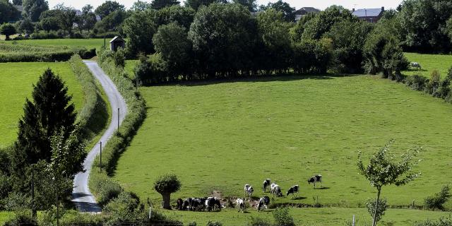 Sémeries, Bocage de l'Avesnois - © CRTC Hauts-de-France - Sébastien Jarry