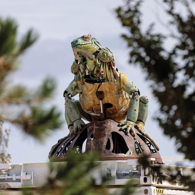 Calais_Dragon_Iguane sentinelle © Fred Collier - Ville de Calais