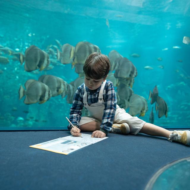 Carnet éducatif pour enfant - visite à l'espace Haute Mer, balcon haute mer