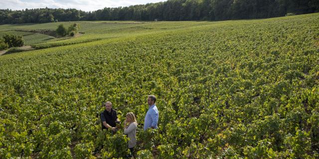 Aisne_Couple_Balade_Vignoble_De_Champagne © CRTC_Hauts_De_France_Benjamin_Teissedre