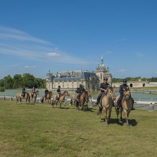 Chantilly_Chevaux Henson_Château de Chantilly © CRTC Hauts-de-France - Forent Cocquet