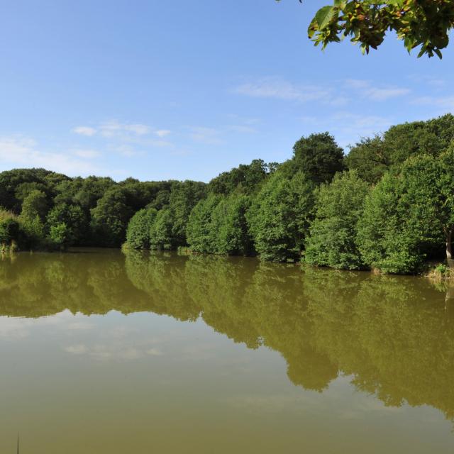 Clairmarais_ Lac d'Harchelles © Office du Tourisme et des Congrès du Pays de Saint Omer - Carl Peterloff