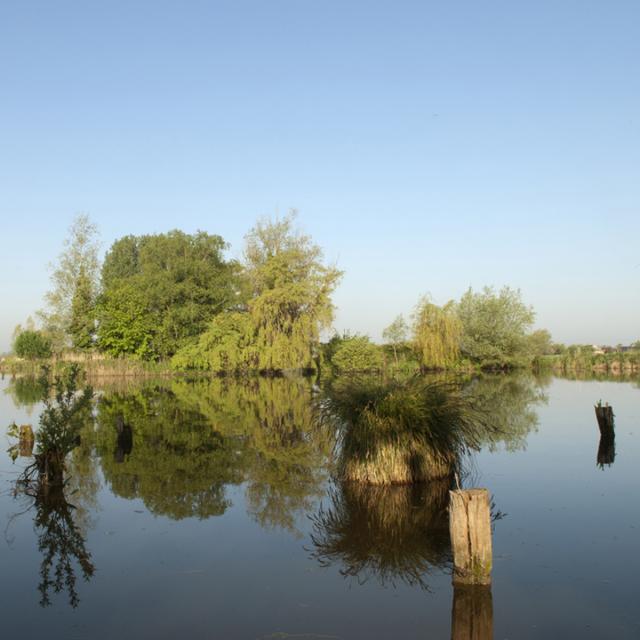 Clairmarais _ Réserve naturelle nationale des étangs du Romelaëre - © Office de Tourisme et des Congrès du Pays de Saint-Omer - Carl Peterloff