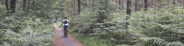 Compiègne _ Pistes Cyclables en Forêt © CRTC Hauts-de-France - Maïté Domisse