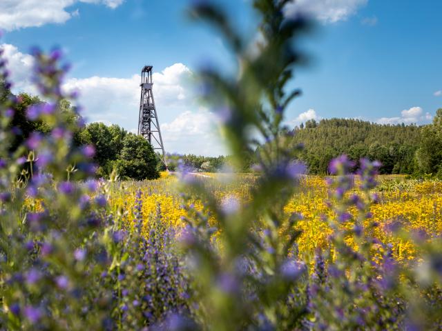 Condé Sur L'escaut Chabaud Latour Otcvm©claude.waeghemacker Hd