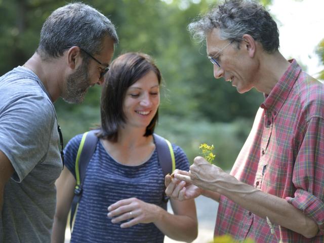 Crécy-en-Ponthieu _ Sortie Nature avec Naturopathe © CRTC Hauts-de-France - Nicolas Bryant