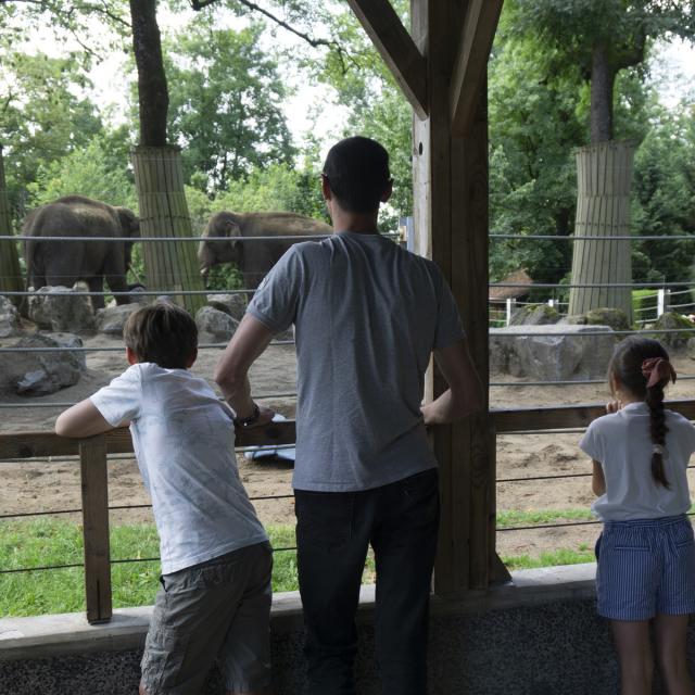 Maubeuge le zoo credits OT Avesnois