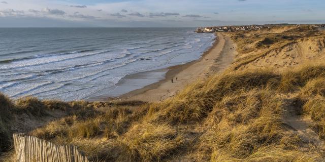 Les dunes de la Slack près d'Ambleteuse (Côte d'Opale, Grand Site des deux Caps) - Vue sur Ambleteuse  et son fort Vauban. Saison : Hiver - Lieu : Ambleteuse, Côte d'Opale, Site des deux caps, Pas-de-Calais, Hauts-de-France, France - The dunes of the Slack near Ambleteuse (Opal Coast, Great Site of the two Caps) - View of Ambleteuse and its Vauban fort. Season: Winter - Place: Ambleteuse, Opal Coast, Site of the two caps, Pas-de-Calais, Hauts-de-France, France