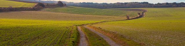 Chemin de la Via Francigena©hemis 1880945