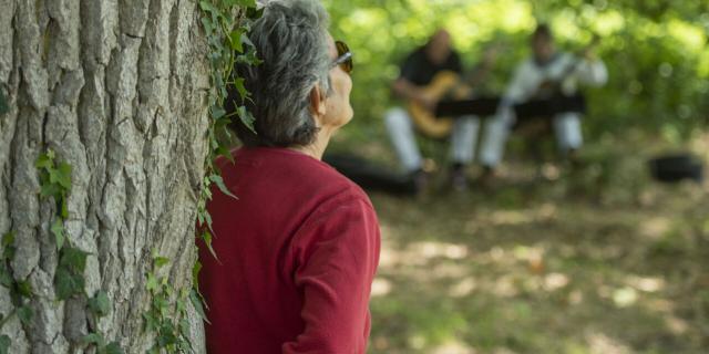 Forêt de Compiègne _ Festival des Forêts © CRTC Hauts-de-France - Benjamin Teissedre