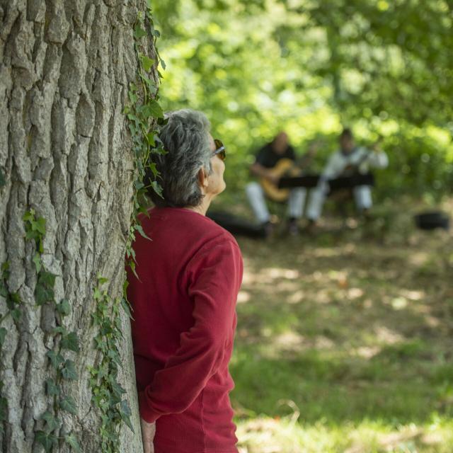 Forêt de Compiègne _ Festival des Forêts © CRTC Hauts-de-France - Benjamin Teissedre