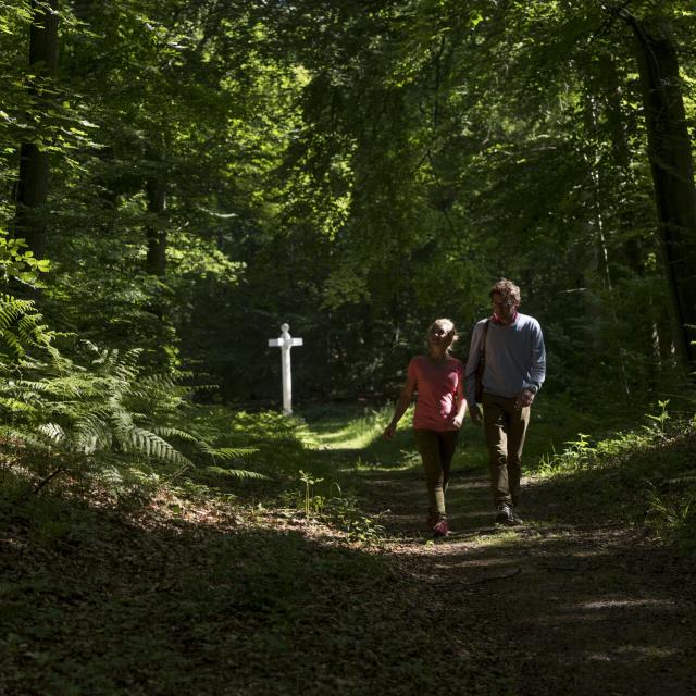 Forêt de Compiègne _ Promenade en Forêt de Compiègne © CRTC Hauts-de-France - Comdesimages.com