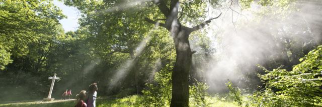 Compiègne _ Forêt de Compiègne © CRTC Hauts-de-France – Comdesimages.com