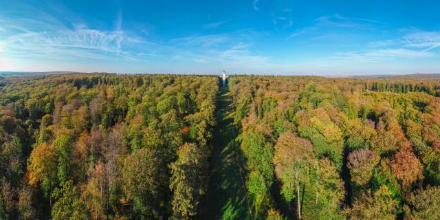 Villers-Cotterêts _ Forêt de Retz - © Office de Tourisme Retz en Valois Airndrone