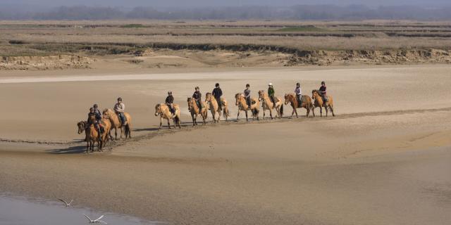 Cavaliers sur chevaux Henson en Baie de Somme à la file indienne à marée basse - credits CRT HdF Stephane Bouilland