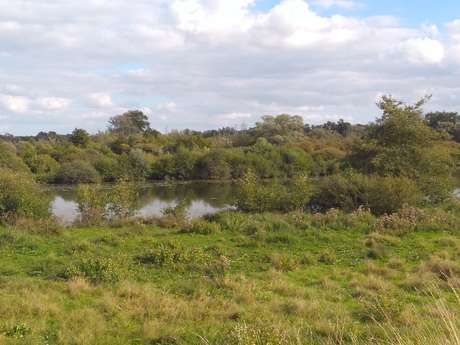 Marais de Tirancourt