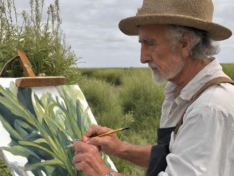 Plantes et Mollières sous nos crayons