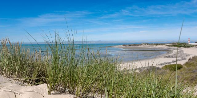 La Baie d'Authie © Ville de Berck-sur-Mer