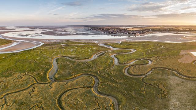 Baie de Somme, Le Crotoy, les méandres des rieux dans les mollières face au Crotoy, au petit matin à marée basse (vue aérienne) © CRTC Hauts-de-France - Stéphane BOUILLAND