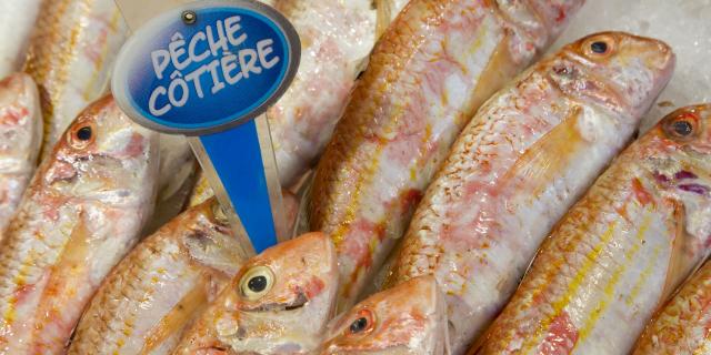 le touquet, le marché, poisson