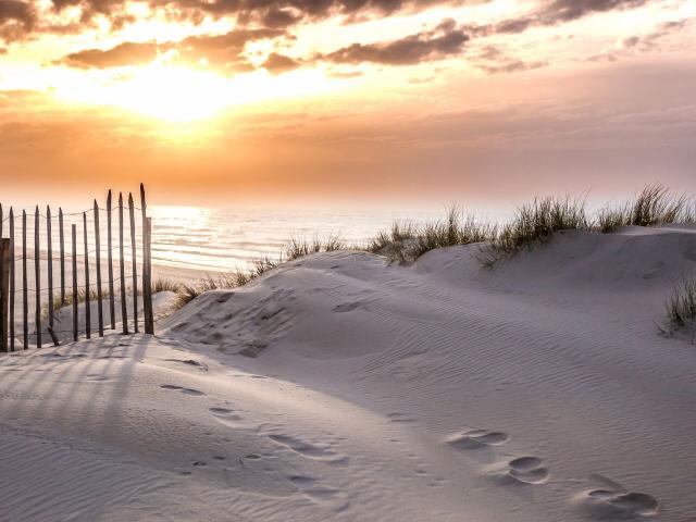 Le Touquet-Paris-Plage dunes au soleil couchant © CRTC Hauts-de-France - Ishak Najib