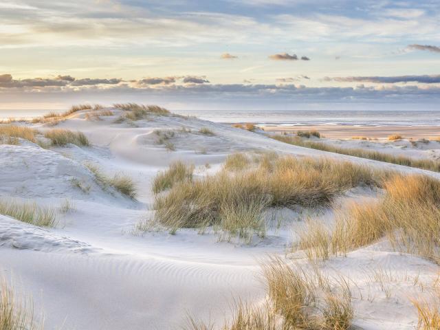 Le Touquet-Paris-Plage Dunes au soleil couchant © CRTC Hauts-de-France - Ishak Najib