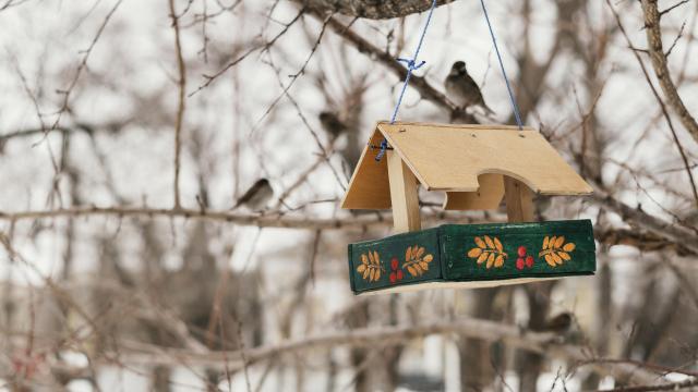 Mangeoire à Oiseaux © Freepik
