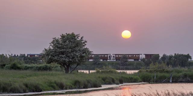 Le Crotoy_Saint-Valéry-sur-Somme_Traversée de la baie de Somme en petit train à vapeur © CRTC Haut-de-France - Nicolas Bryant