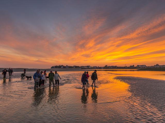 Baie de Somme_Sortie nature 