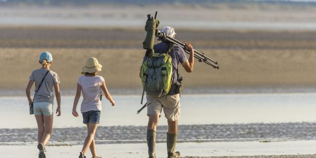 Baie de Somme_Sortie nature aux plages de la Maye à marée basse pour découvrir les animaux de la baie, dont les phoques © CRTC Hauts-de-France - Stéphane BOUILLAND