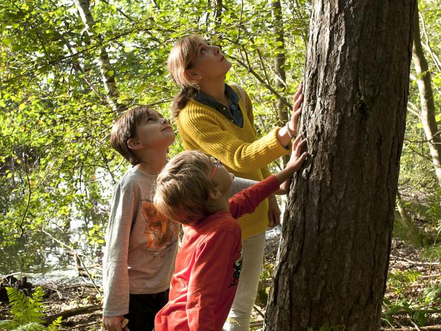 Raismes _ Forêt Saint Amand Wallers © CRTC Hauts-de-France - Sébastien Jarry