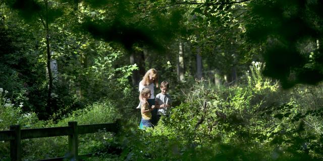 Raismes _ Forêt Saint Amand Wallers - © CRTC Hauts-de-France - Sébastien Jarry