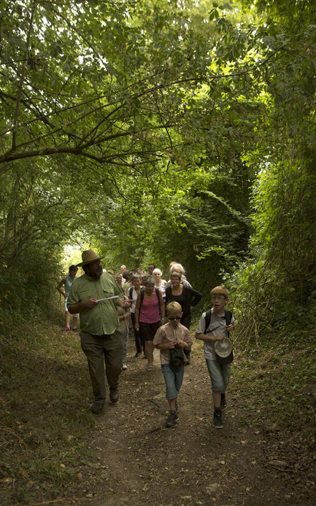 Saint-Jean-aux-Bois_Festival des Forêts_Randonnée ©CRTC Hauts-de-France_Ludovic Leleu