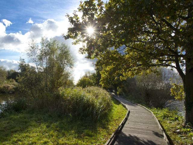 Réserve_Naturelle_Nationale_des_Etangs_du_Romelaëre © CRT_Hauts_de_France_Anne_Sophie_Flament