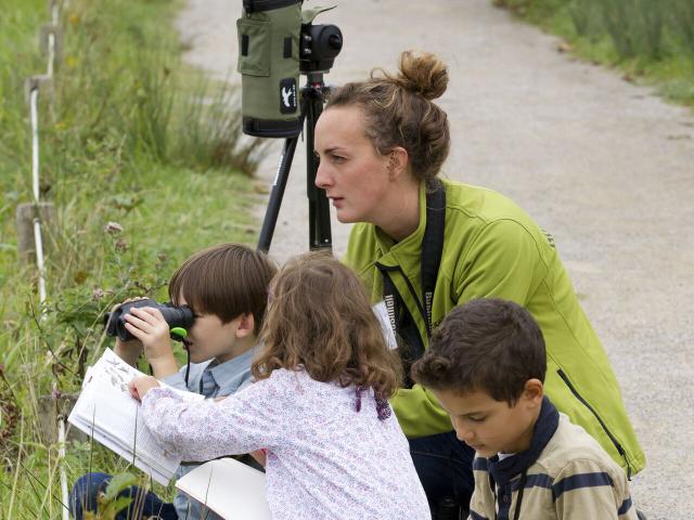 Saint-Quentin-en-Tourmont_Parc ornithologique du Marquenterre©CRTC Hauts-de-France_Anne-Sophie Flament