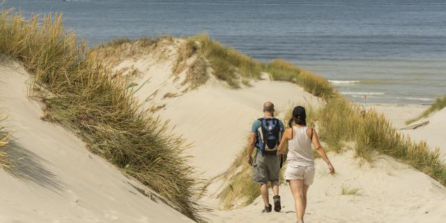 Saint-Quentin-en-Tourmont, Marquenterre, Baie de Somme, Sentier d'accès à la mer, ©CRTC Hauts-de-France - Stéphane BOUILLAND