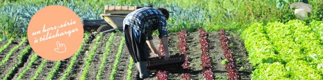 Salades Des Hortillonnages Nbryant Pastille