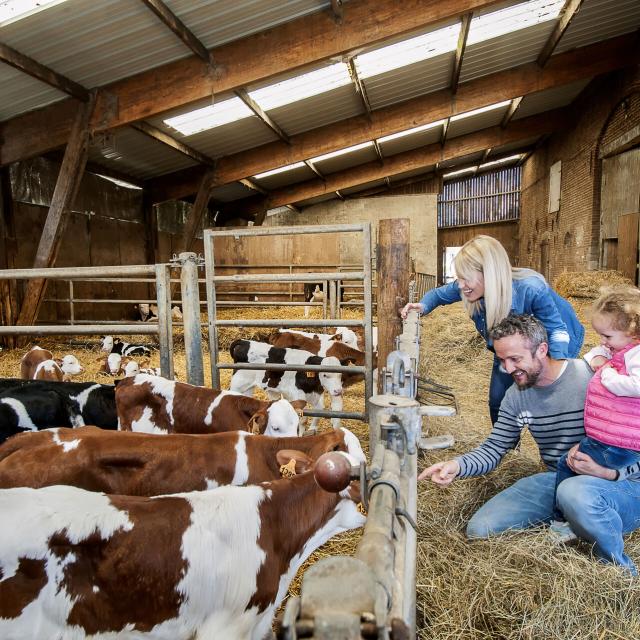 Solre Le Chateau La Ferme Aux Charmes Etable Hauts De France Tourisme Sebastien Jarry