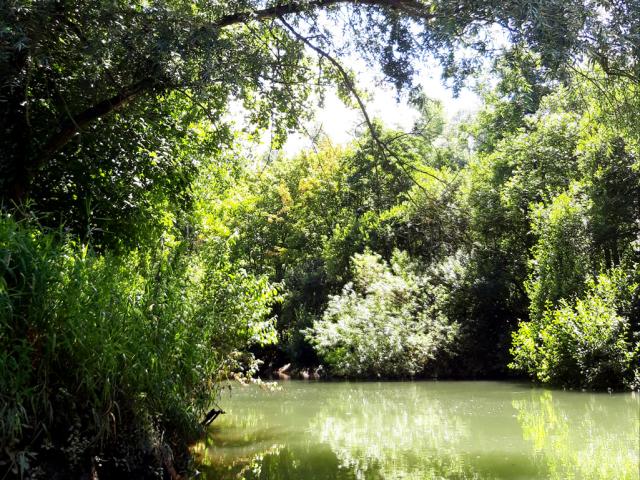 Vallée De La Canche © Manon Herdier