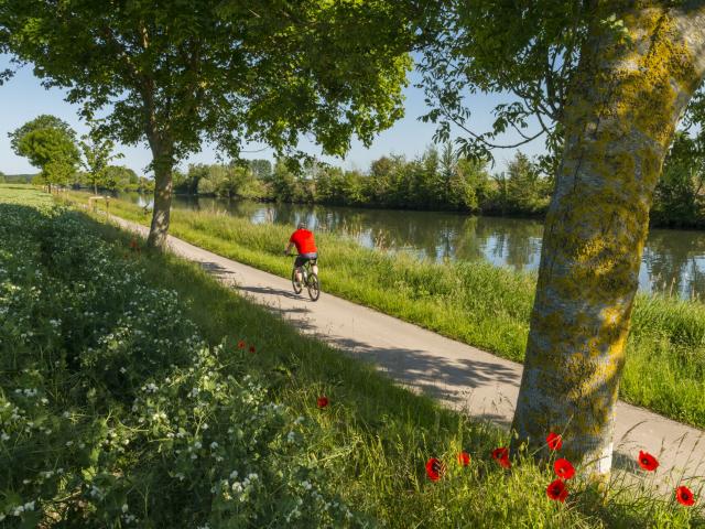 St-Valery-sur-Somme, promenade en vélo le long du Canal de la Somme sur la 