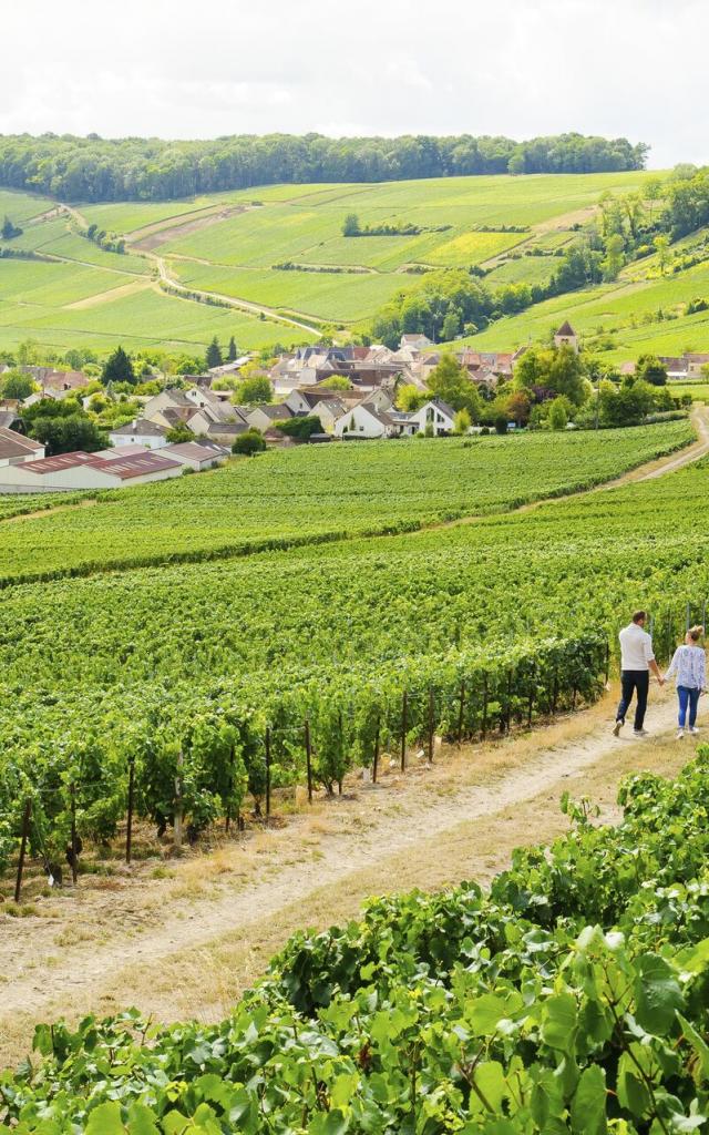 Aisne _ Randonnée dans le vignoble de champagne © CRTC Hauts-de-France - Vincent Colin