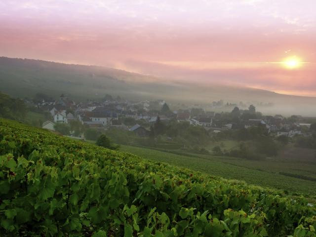 Azy-sur-Marne, sud de l'Aisne, point de vue de Bonneil sur le vignoble de Champagne ©CRTC Hauts-de-France - Anne-Sophie Flament